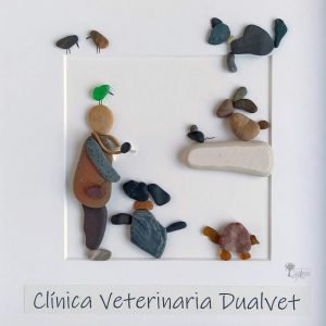 Cuadro con piedras Clínica veterinaria
